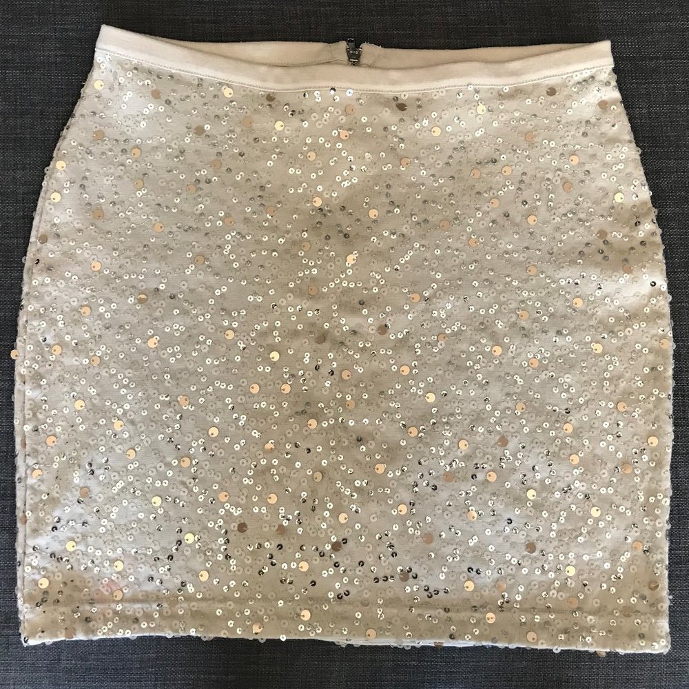 Sequin Short Skirt